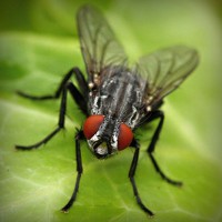 /album/kredittkortbloggen/photolia-a01-jpg/