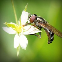 /album/kredittkortbloggen/photolia-a02-jpg/
