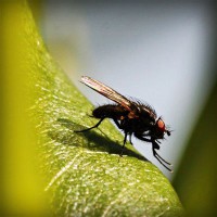 /album/kredittkortbloggen/photolia-a04-jpg/
