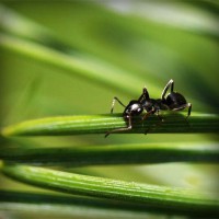 /album/kredittkortbloggen/photolia-a05-jpg/