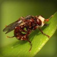 /album/kredittkortbloggen/photolia-a06-jpg/