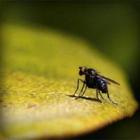 /album/kredittkortbloggen/photolia-a07-jpg/