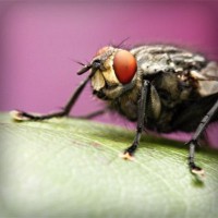/album/kredittkortbloggen/photolia-a08-jpg/
